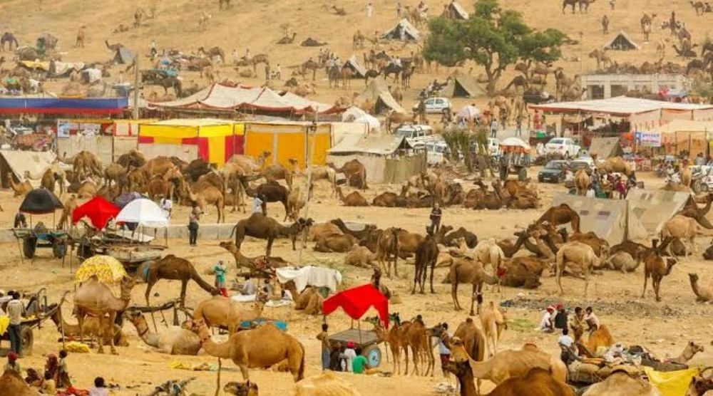 Pushkar Camel Fair Rajasthan cultural festival