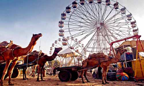 Pushkar fair Rajasthan cultural event